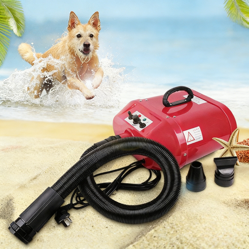 Pet Supplies Pet Shop - Double Motor Water Blower Pet Shop