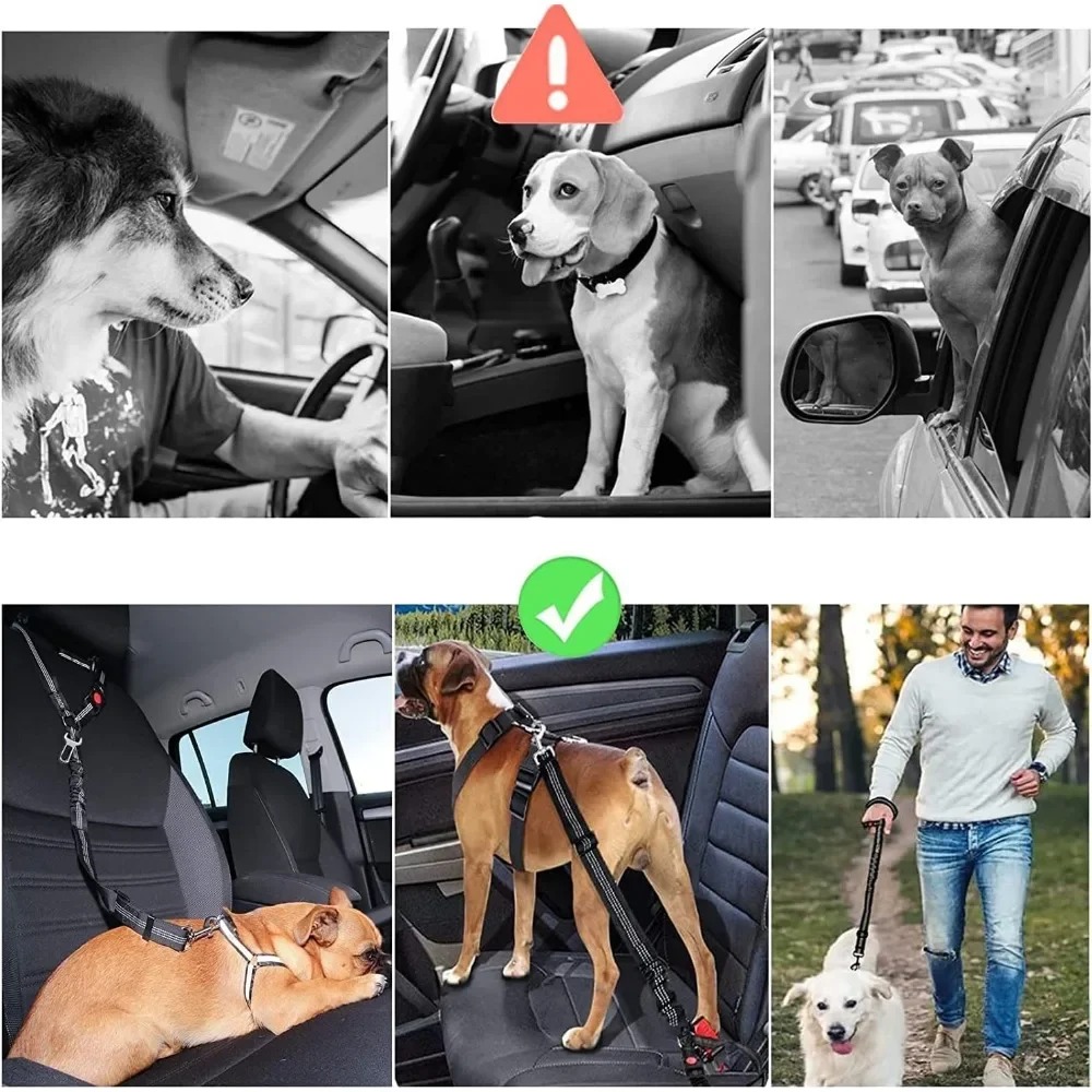 2-in-1 Dog Car Seatbelt Headre – Calming Dog Bed recenzja i cena