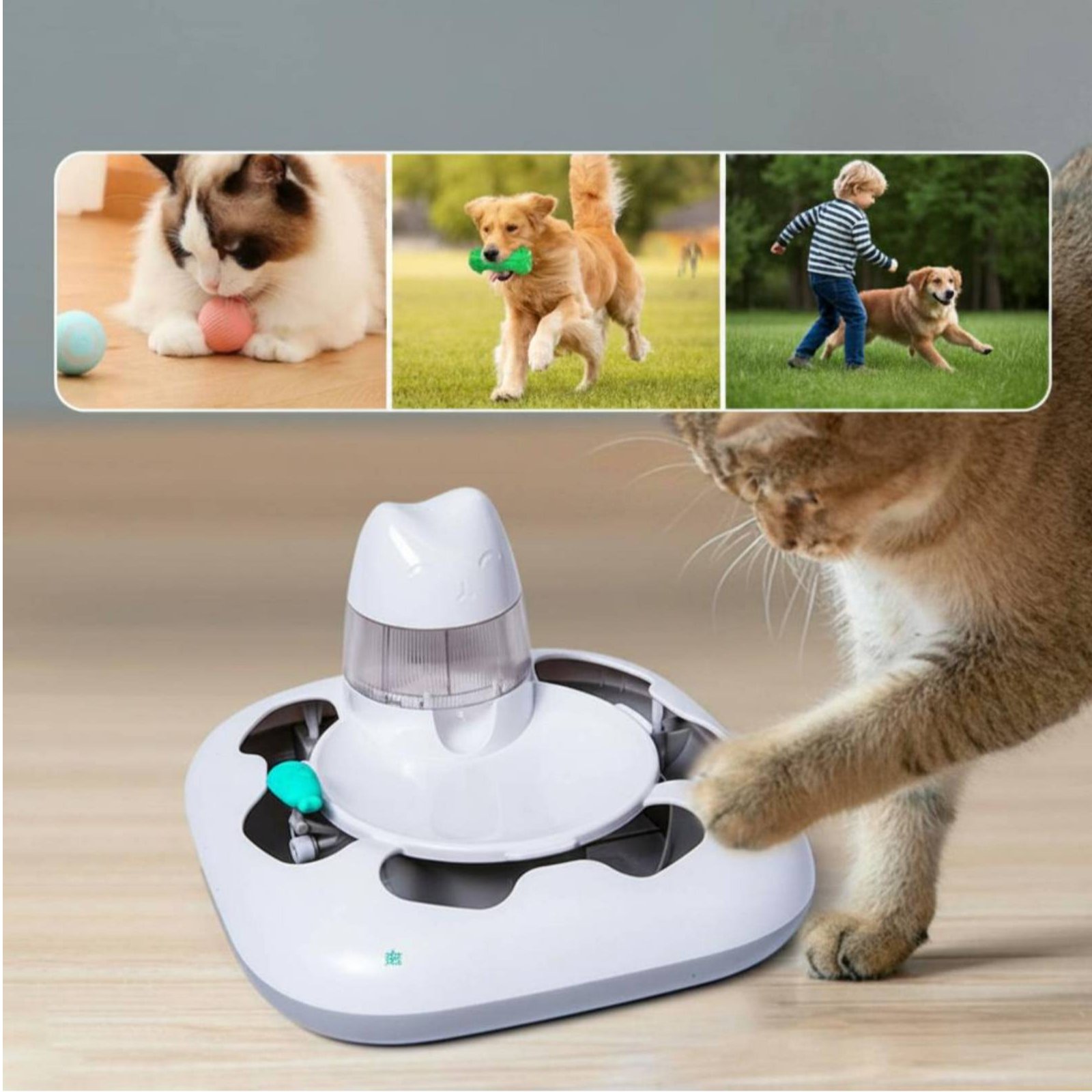 Cat Hunting Game Machine Inter – Interactive Cat Toy recenzja i cena