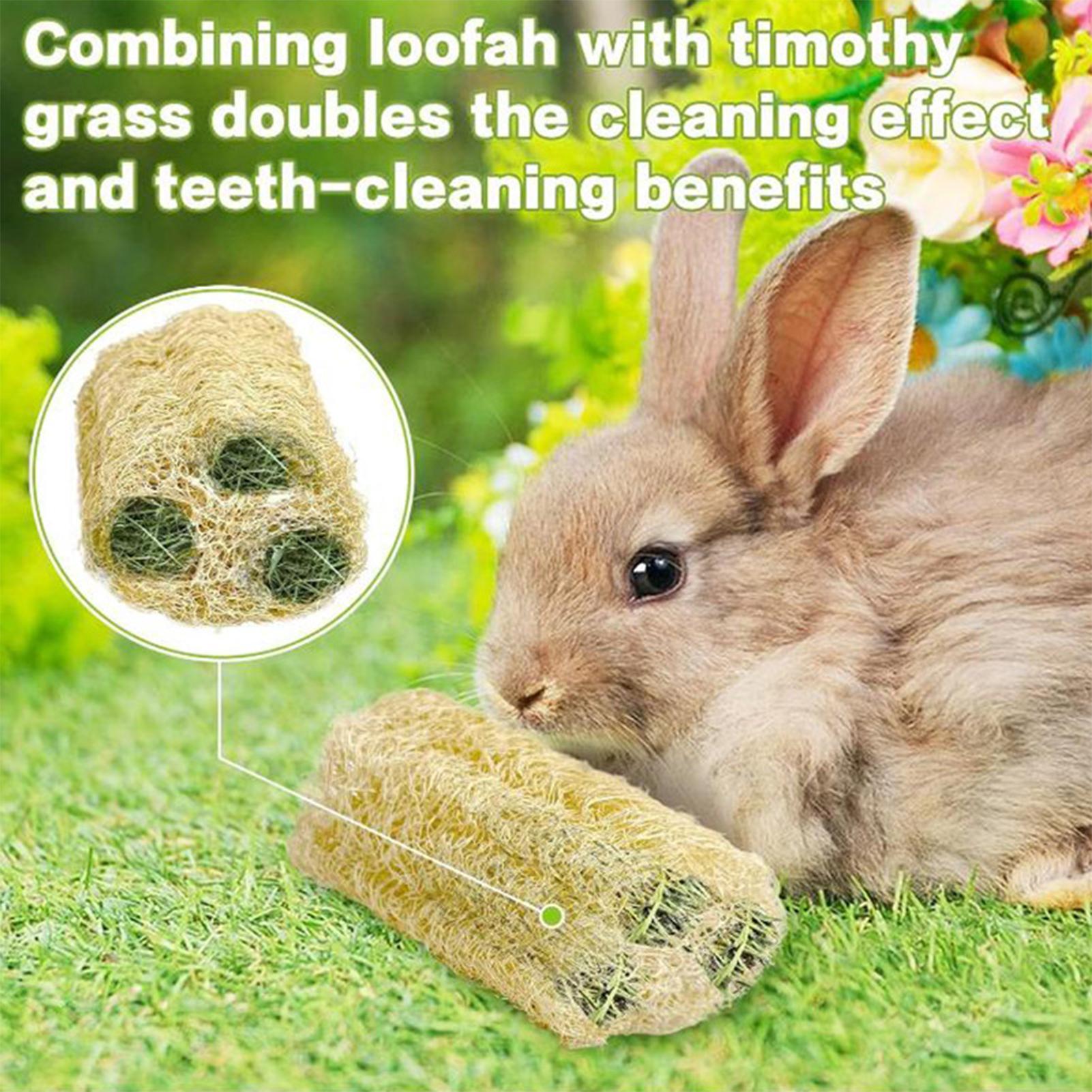 Chew Toys For Bunnies 4 Pieces – Pet Supplies Pet Shop recenzja i cena