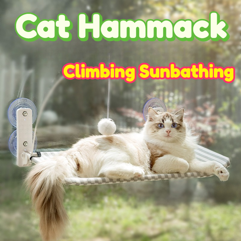 Cat Hammock Window Hanging Per – Interactive Cat Toy recenzja i cena