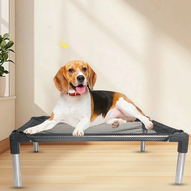 Cooling Elevated Dog Bed - Rai – Calming Dog Bed recenzja i cena