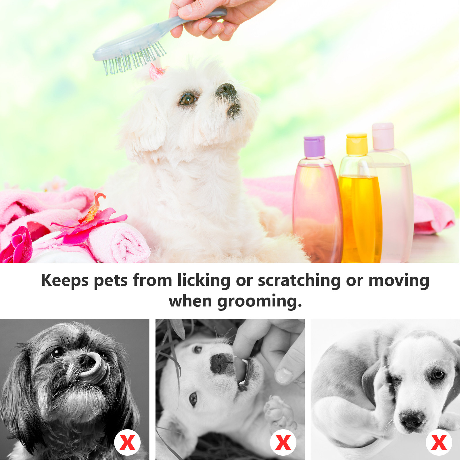 Pet Dog Beauty Hammock Pets Ha – Pet Supplies Pet Shop recenzja i cena