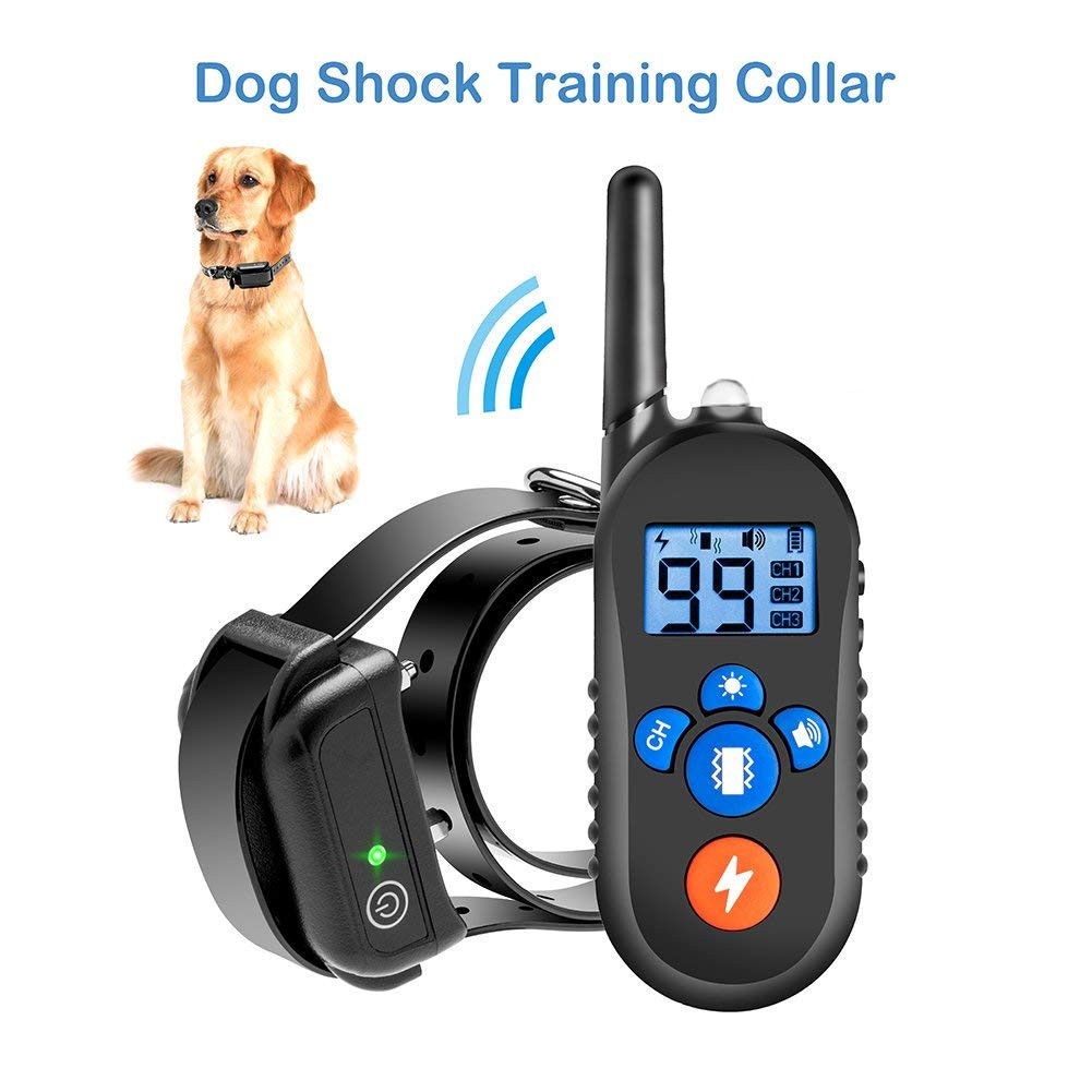 Private model dog training dev – Pet Supplies Co recenzja i cena