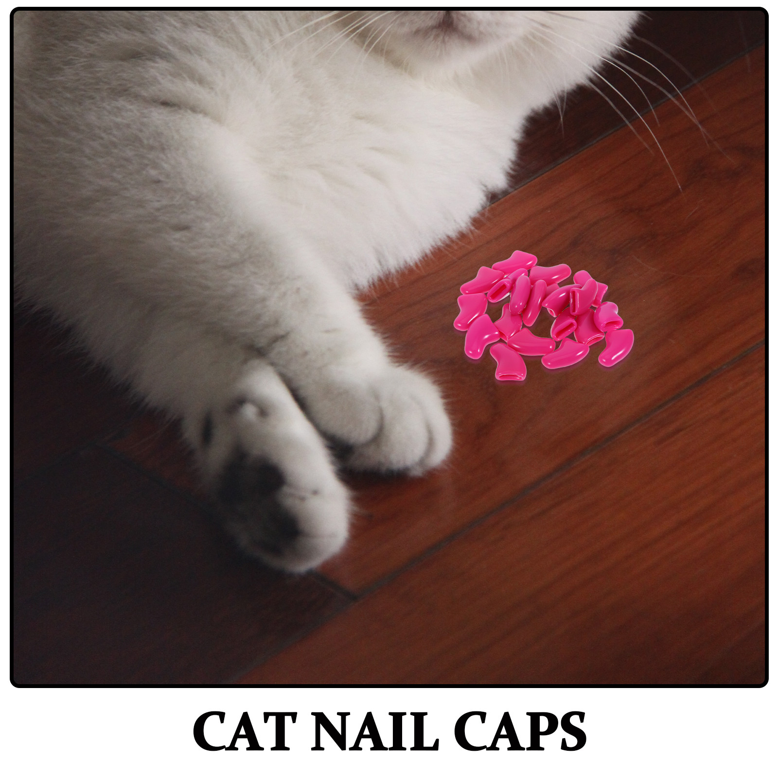 20Pcs Cat Nail Caps Comfortabl – Pet Supplies Pet Shop recenzja i cena