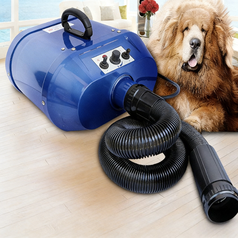 Double Motor Water Blower Pet  – Pet Supplies Pet Shop recenzja i cena