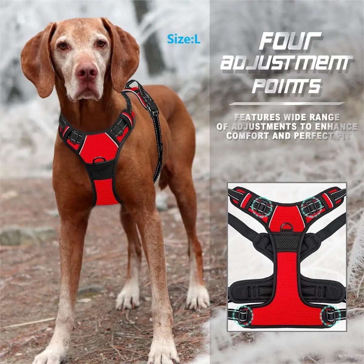 Dog Collar, Harness, Large Ves – Pet Supplies Pet Shop recenzja i cena