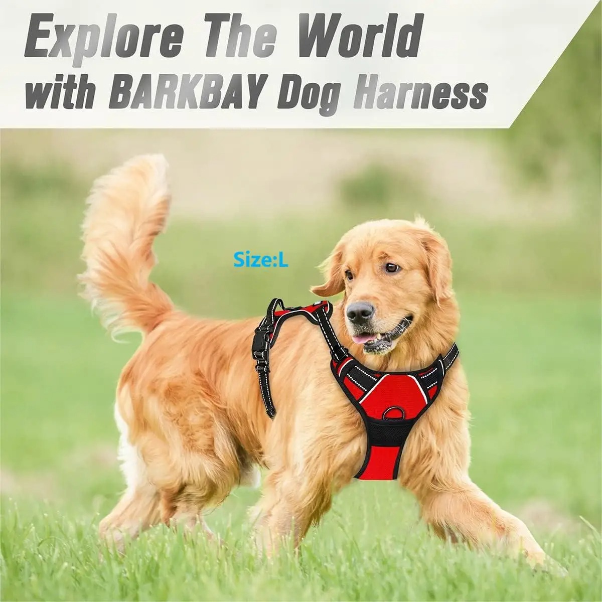 Dog Collar, Harness, Large Ves – Pet Supplies Pet Shop recenzja i cena