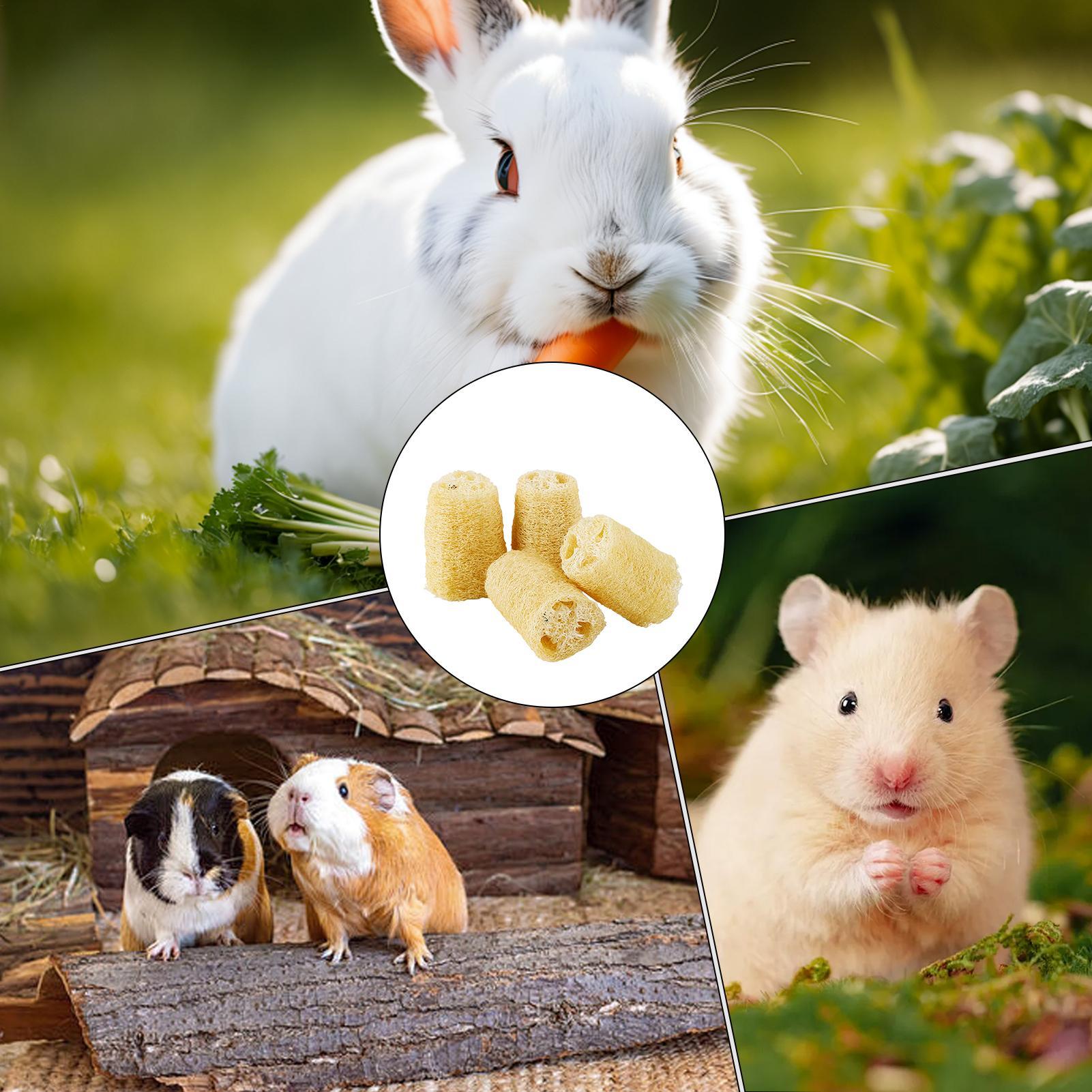 Chew Toys For Bunnies 4 Pieces – Pet Supplies Pet Shop recenzja i cena
