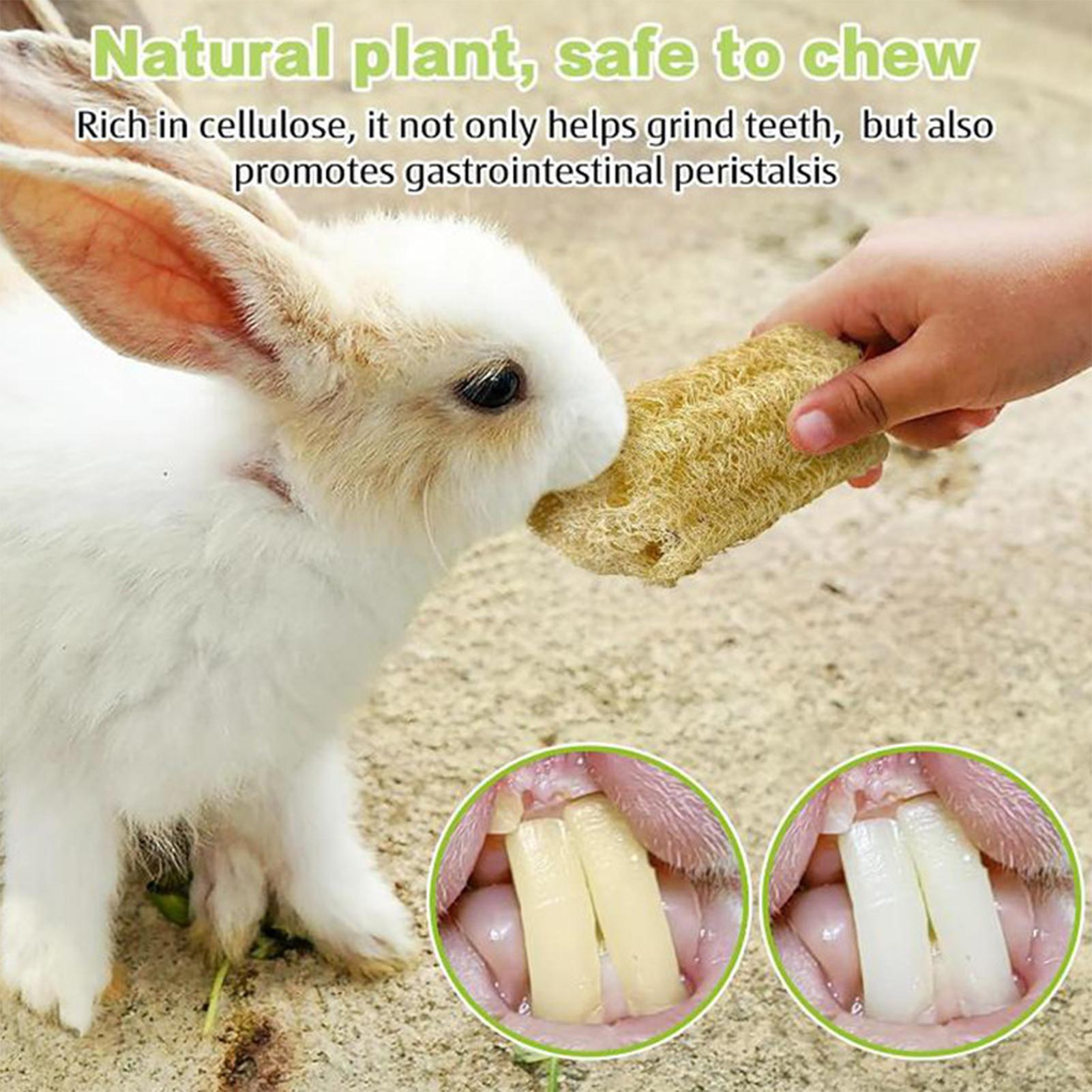 Chew Toys For Bunnies 4 Pieces – Pet Supplies Pet Shop recenzja i cena