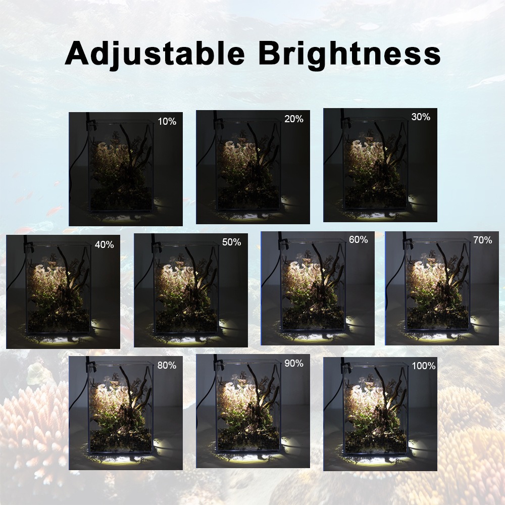 Super Slim LED Aquarium Light  – Pet Supplies Pet Shop recenzja i cena