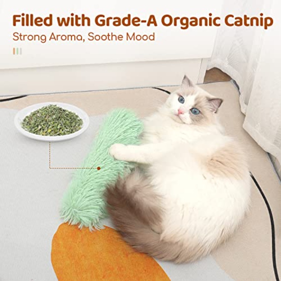 Cat Toys Pillows, 3 Pack, Soft – Interactive Cat Toy recenzja i cena
