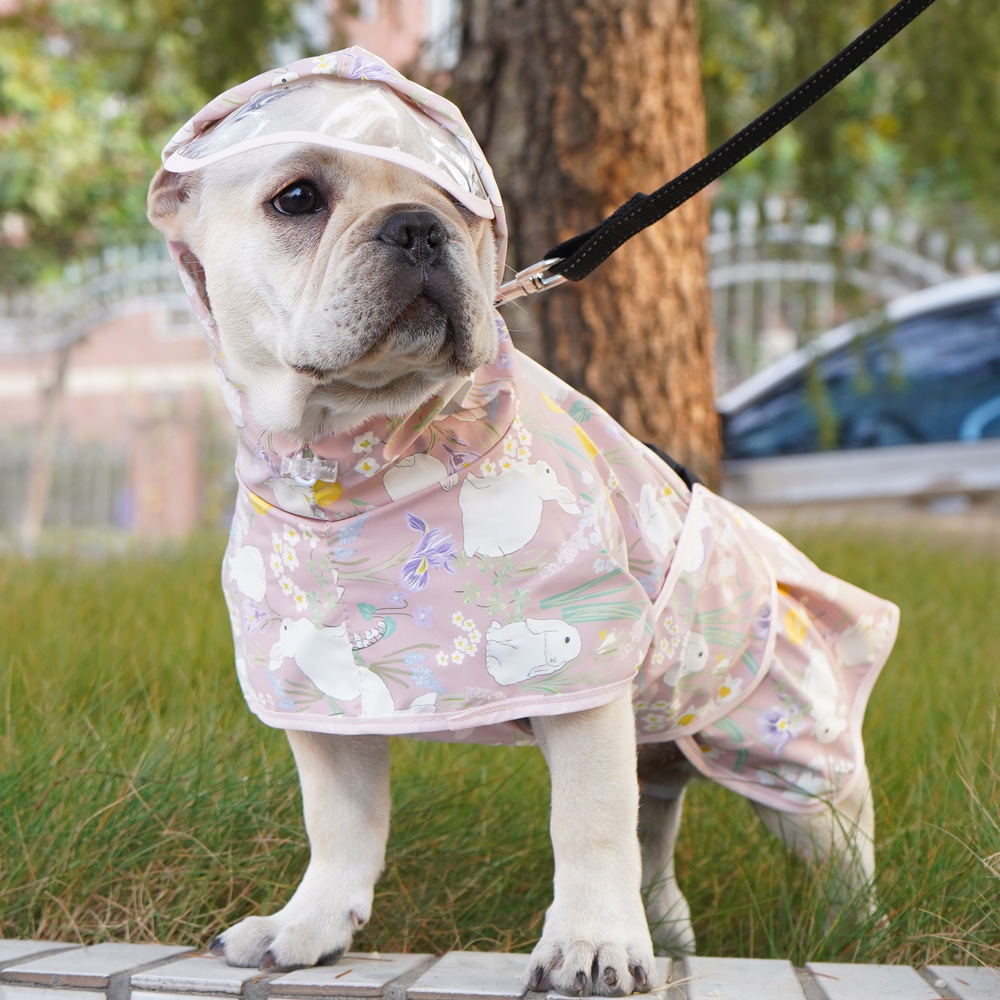 Teddy Co Fund Hair Pet Clothes – Pet Supplies Co recenzja i cena
