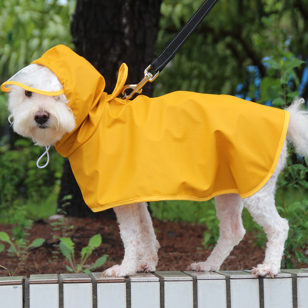 Teddy Co Fund Hair Pet Clothes – Pet Supplies Co recenzja i cena